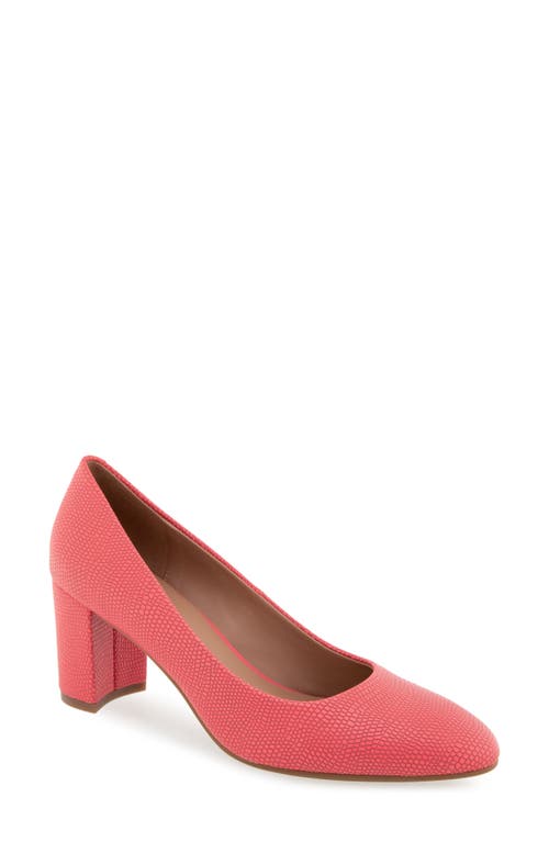 AEROSOLES AEROSOLES BETSY PUMP