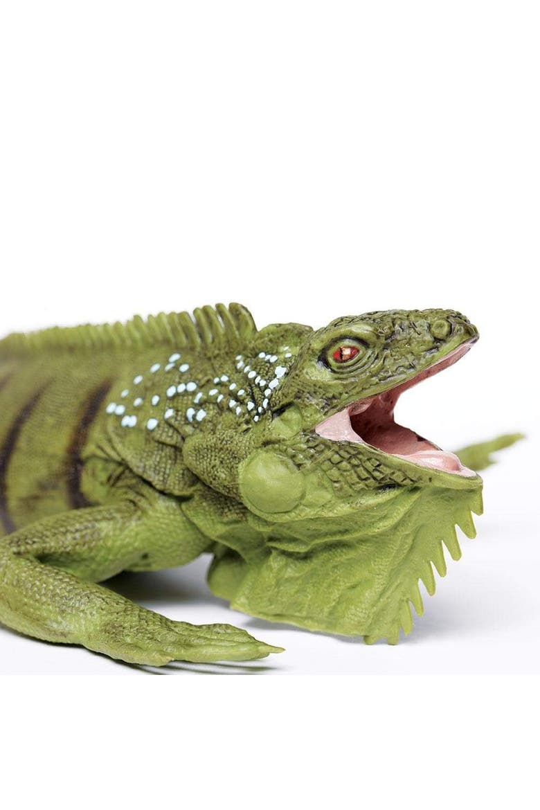 Iguana Toy, Alternate, color, No Color