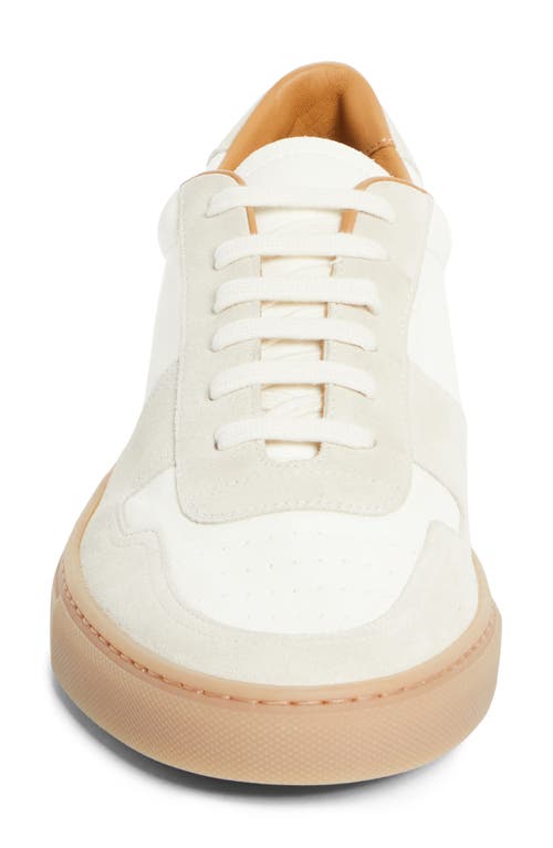 Common Projects Bball Panelled Leather Sneakers In 4102 Off White