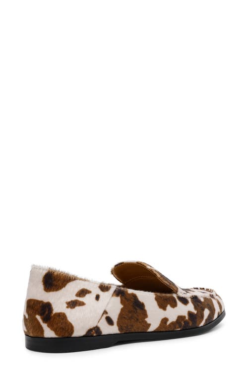 Dolce Vita Dv By  Maxon Loafer In Brown