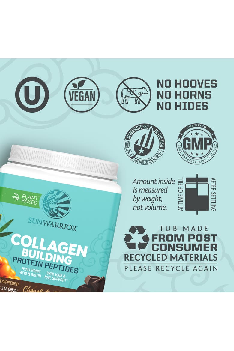 Collagen Building Protein Peptides Powder, Chocolate Fudge, 500gm, Alternate, color, No Color