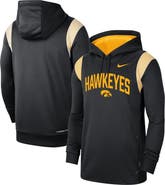 Nike Men's Nike Black Iowa Hawkeyes 2022 Game Day Sideline Performance Pullover Hoodie
