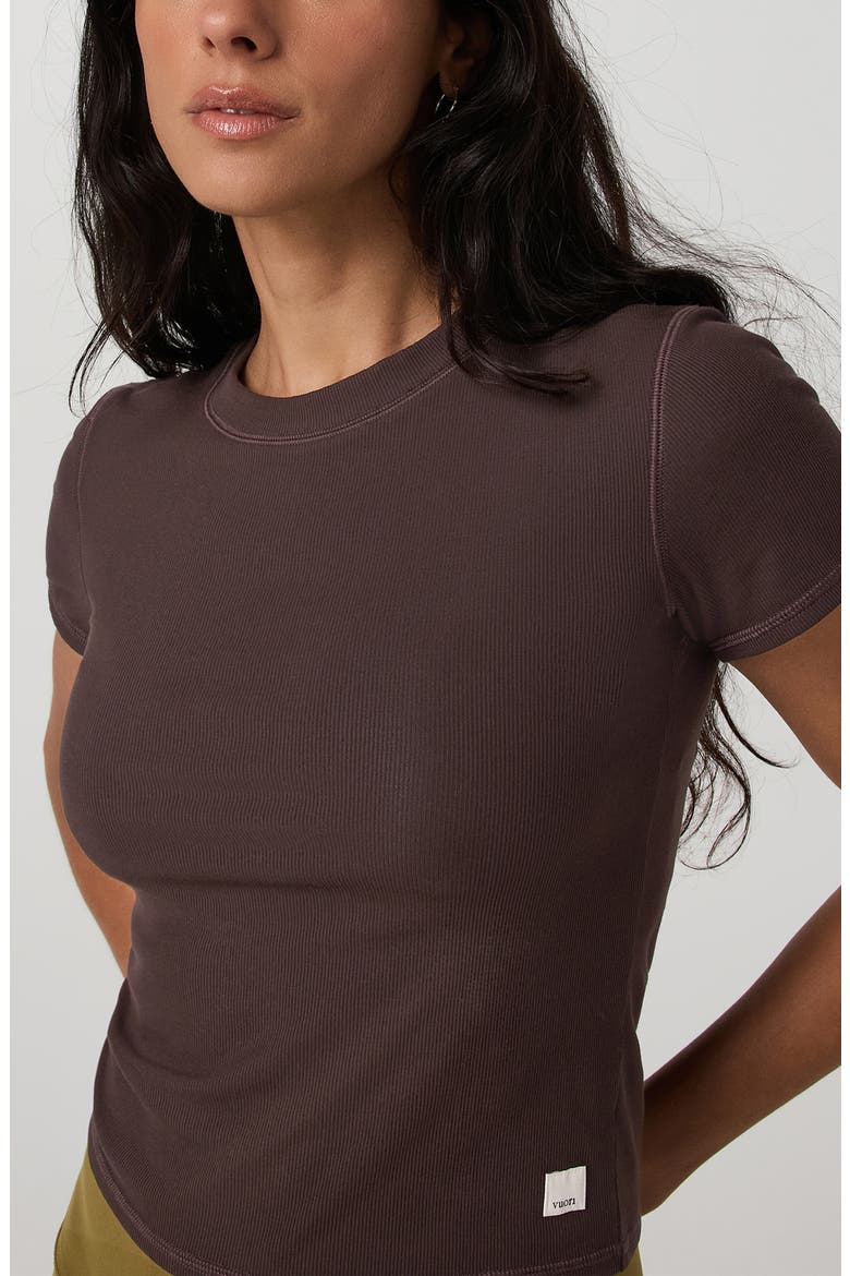 Pose Fitted Tee, Alternate, color, FRENCH ROAST