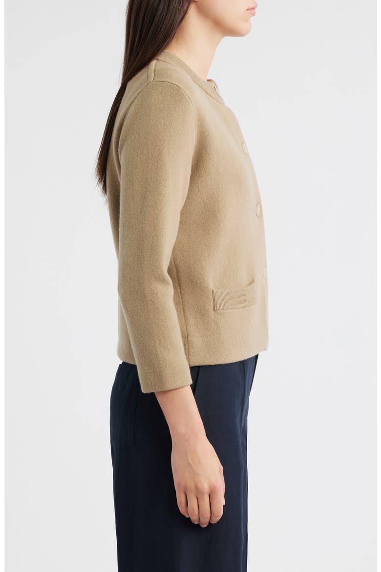 Shrunken Wool & Cashmere Snap Cardigan, Alternate, color, FAWN