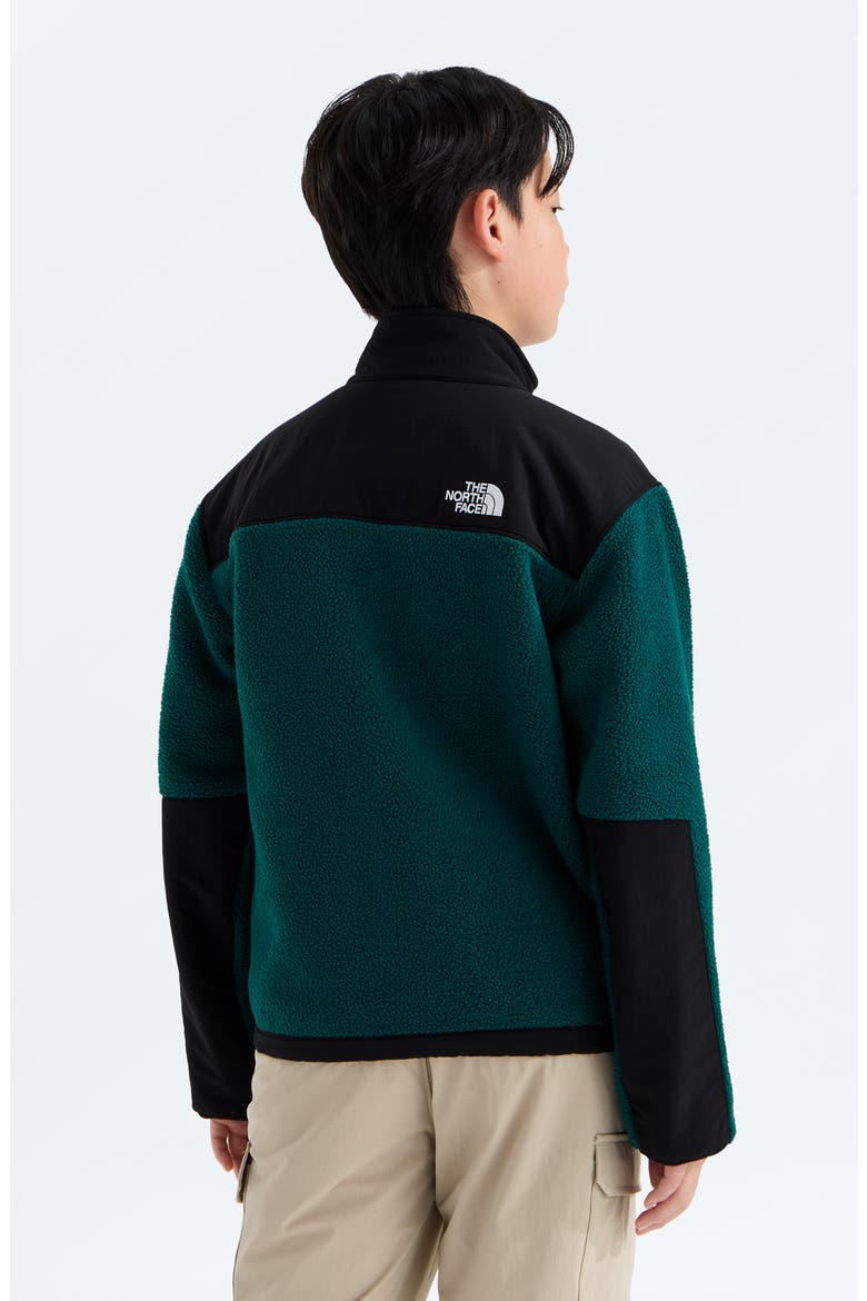 Kids' Denali Water Repellent Fleece Jacket, Alternate, color, PACIFIC TEAL