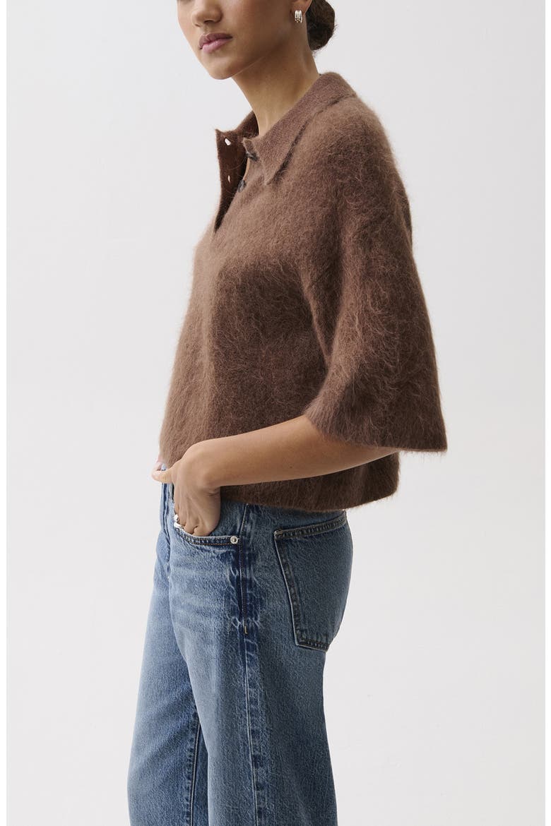 Nadya Short Sleeve Polo Sweater, Alternate, color, ROCHE