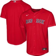 Nike Youth Nike Red Boston Red Sox Alternate Replica Jersey
