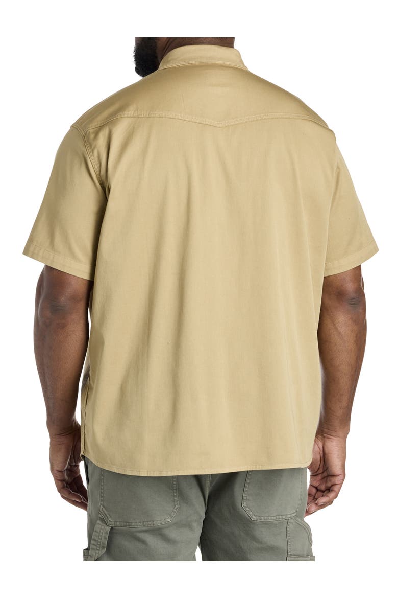 Big & Tall Western-Inspired Sport Shirt, Alternate, color, WHITE PEPPER
