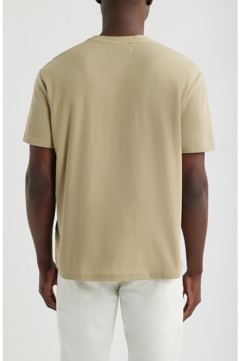 Cotton T-Shirt, Alternate, color, OLIVE GRAY