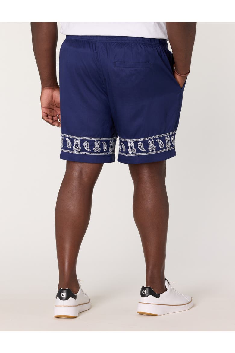 Big & Tall Luke Embroidered Shorts, Alternate, color, EVENING BLUE
