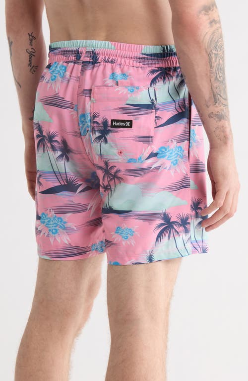 Hurley Cannonball Volley Swim Trunks In Multi