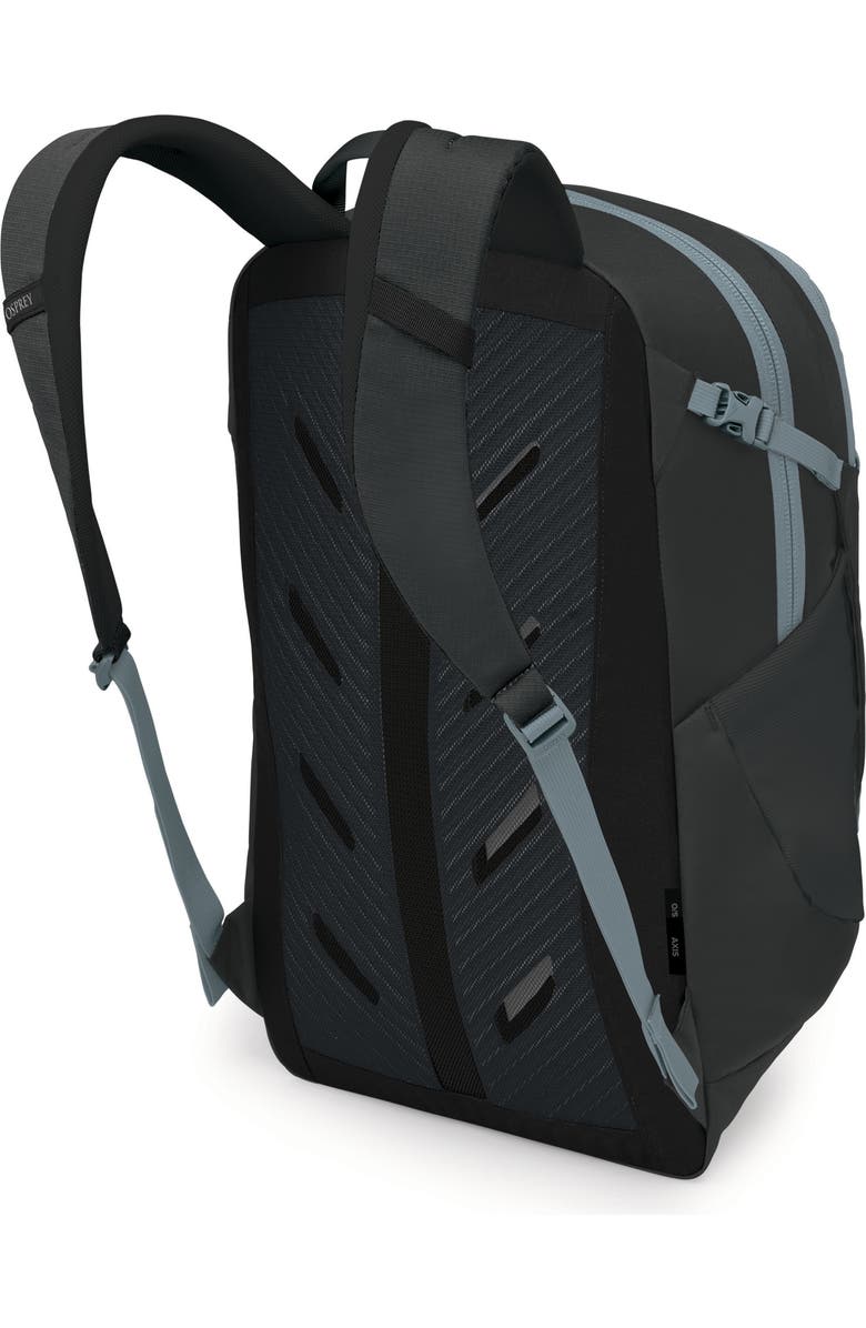 Osprey Axis 24-Liter Backpack, Alternate, color, Black/ Shale Grey