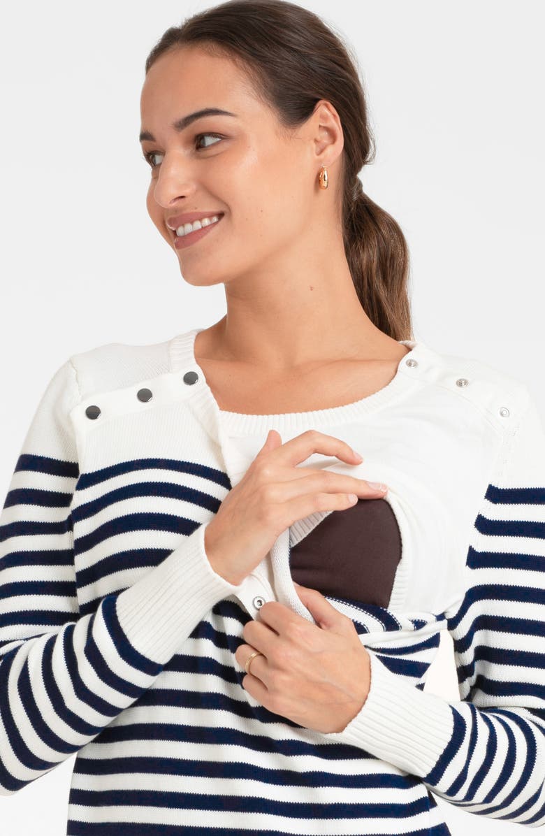 Seraphine Stripe Cotton Nursing/Maternity Sweater, Alternate, color,