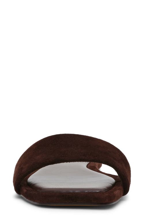 Steve Madden Lumina Slide Sandal In Brown Suede
