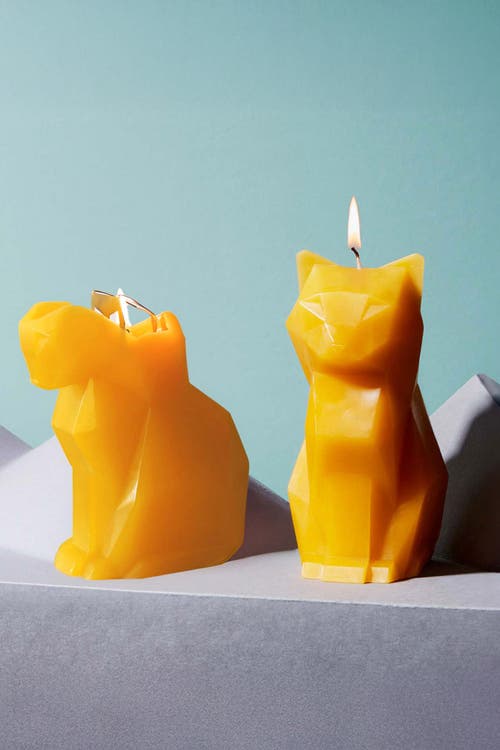 54celsius Pyropet Kisa Cat Candle In Orange