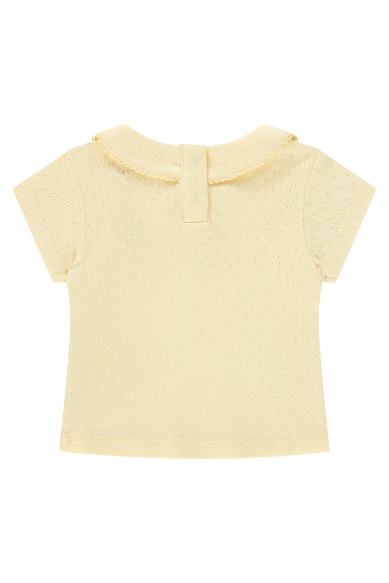 Pointelle Short Sleeve Collar Top, Alternate, color, Buttercup