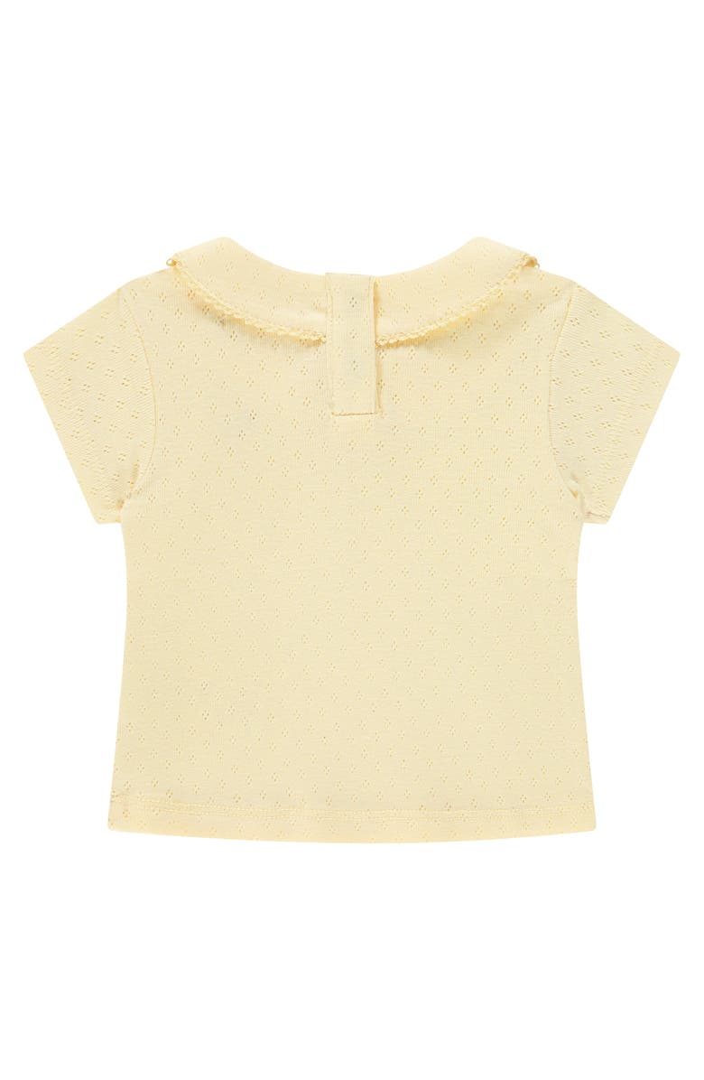 BABYFACE Pointelle Short Sleeve Collar Top, Alternate, color, Buttercup