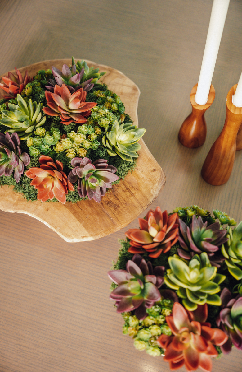 CocoBella Mojave Wooden Bowl Succulent Arrangement, Alternate, color, Multi-Color