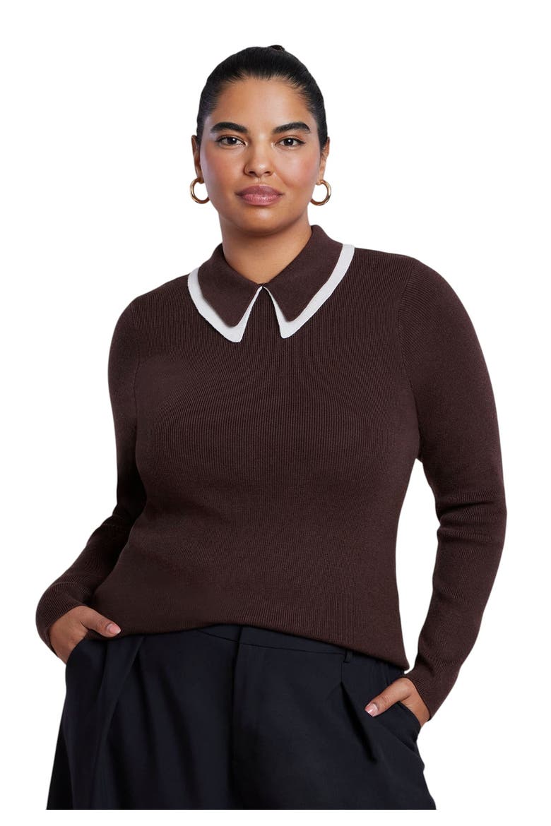 Double Collared Sweater, Main, color, CHOCOLATE AND CREAM