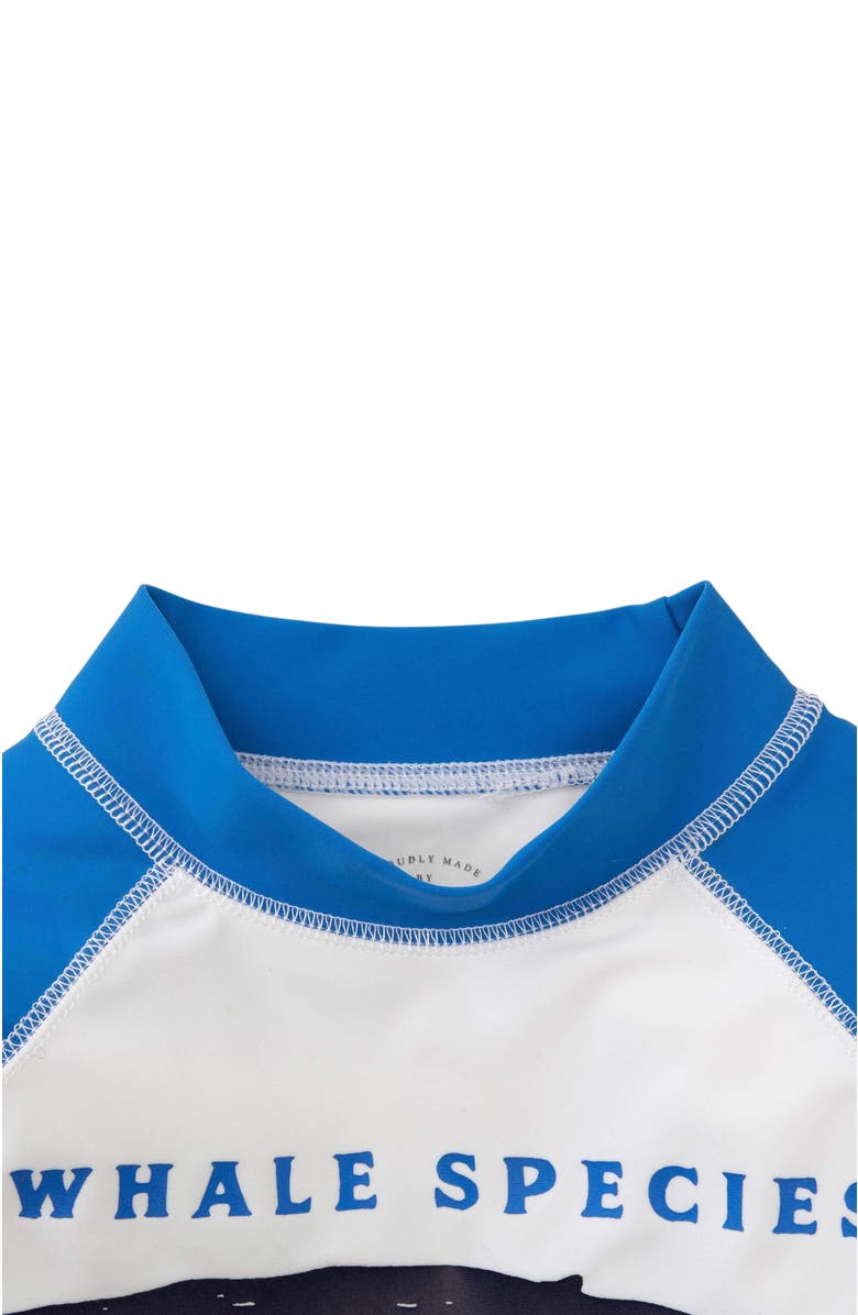 Hope & Henry Boys' Long Sleeve Rash Guard, Kids, Alternate, color, 