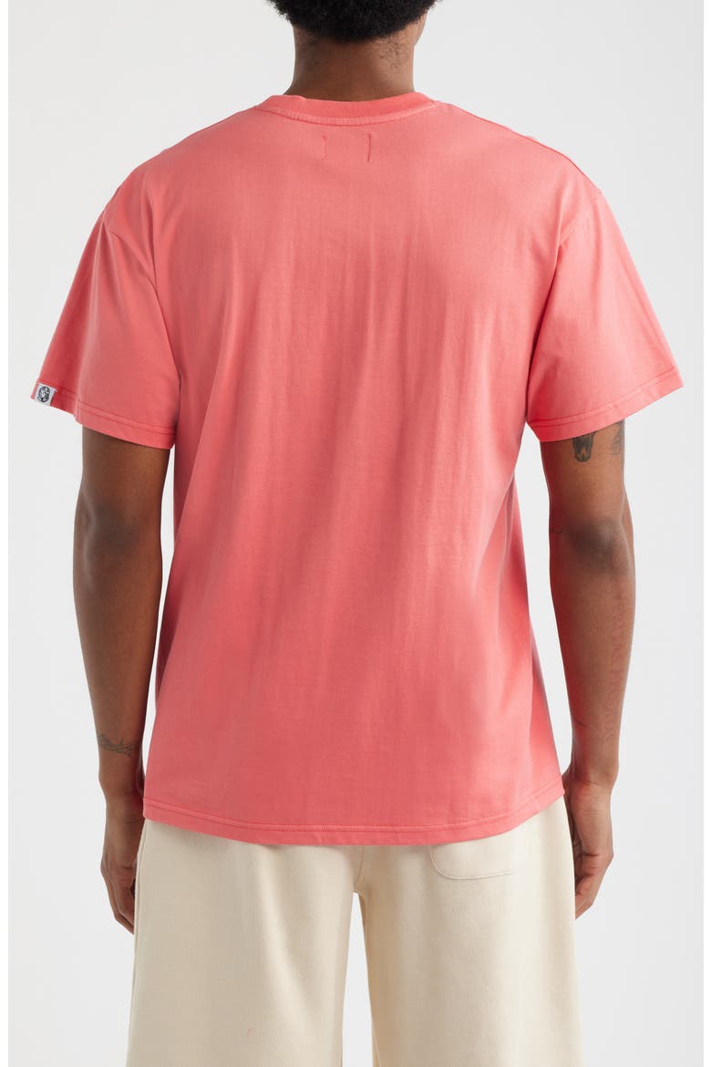 Small Logo Cotton Graphic T-Shirt, Alternate, color, ROSE OF SHARON