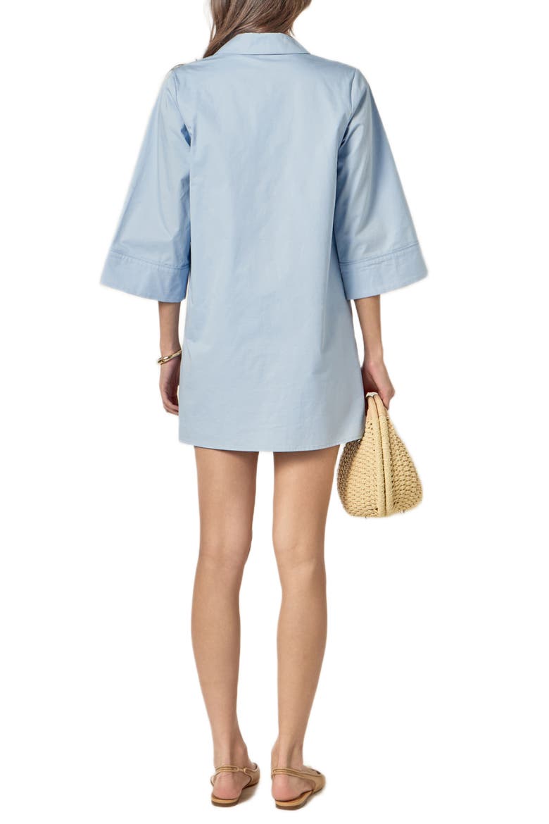 Floral Appliqué Shift Minidress, Alternate, color, POWDER BLUE