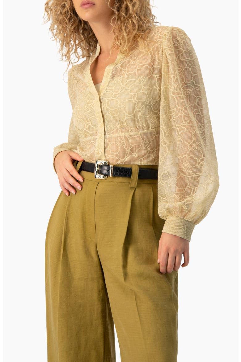 Sheer Floral Jacquard Puff-sleeve Button-front Blouse, Alternate, color, Ivory
