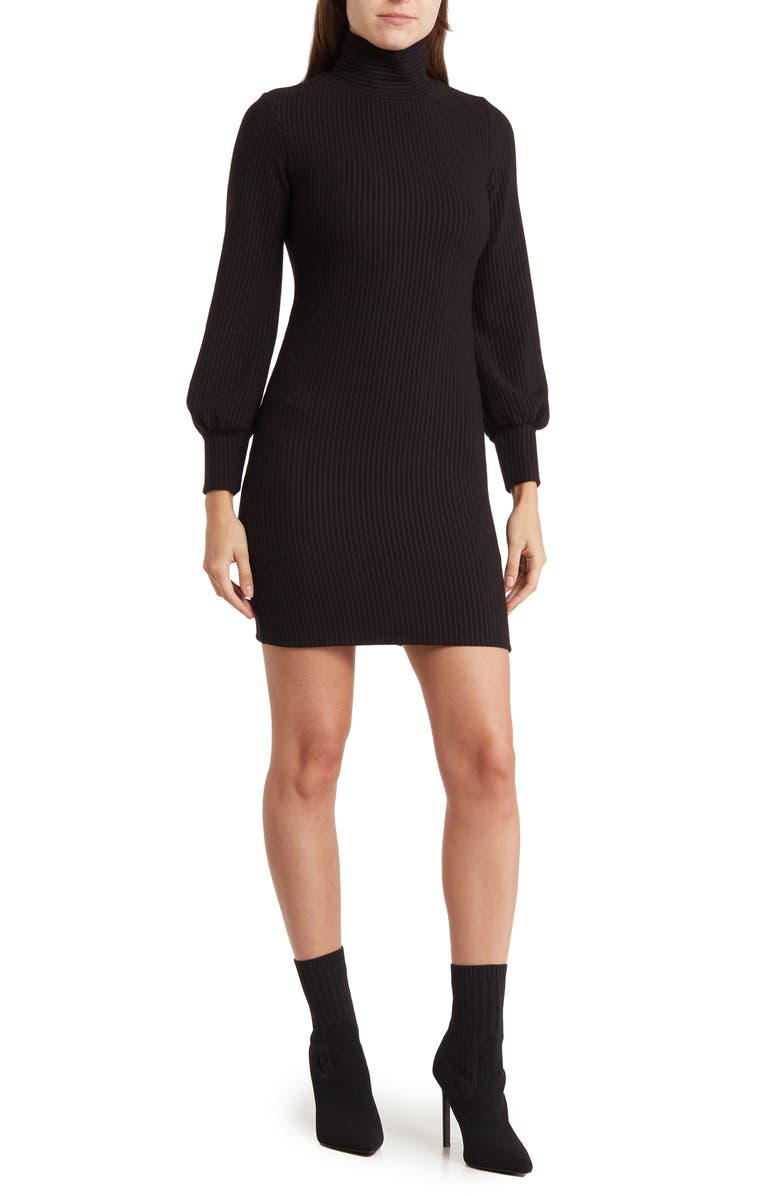 TASH AND SOPHIE Turtle Neck Sweater Dress, Main, color, Black