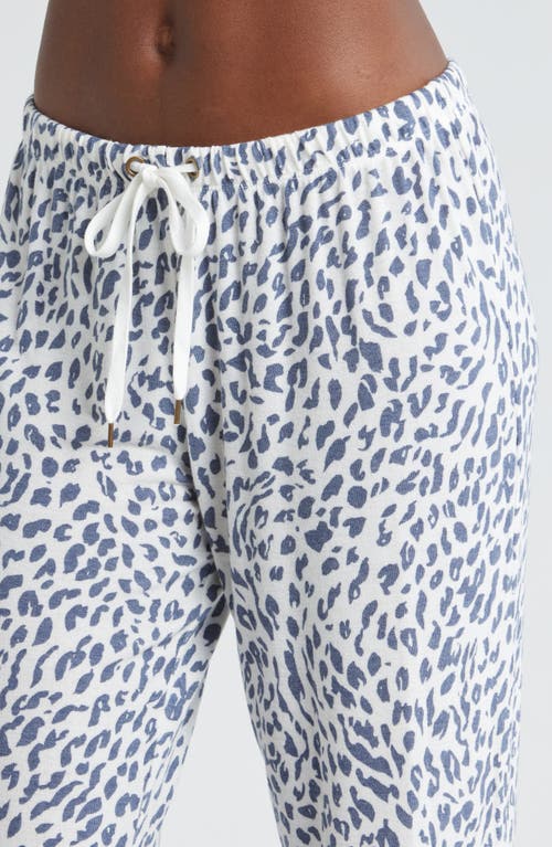 Honeydew Intimates Star Seeker Brushed Jersey Pajamas In Gray