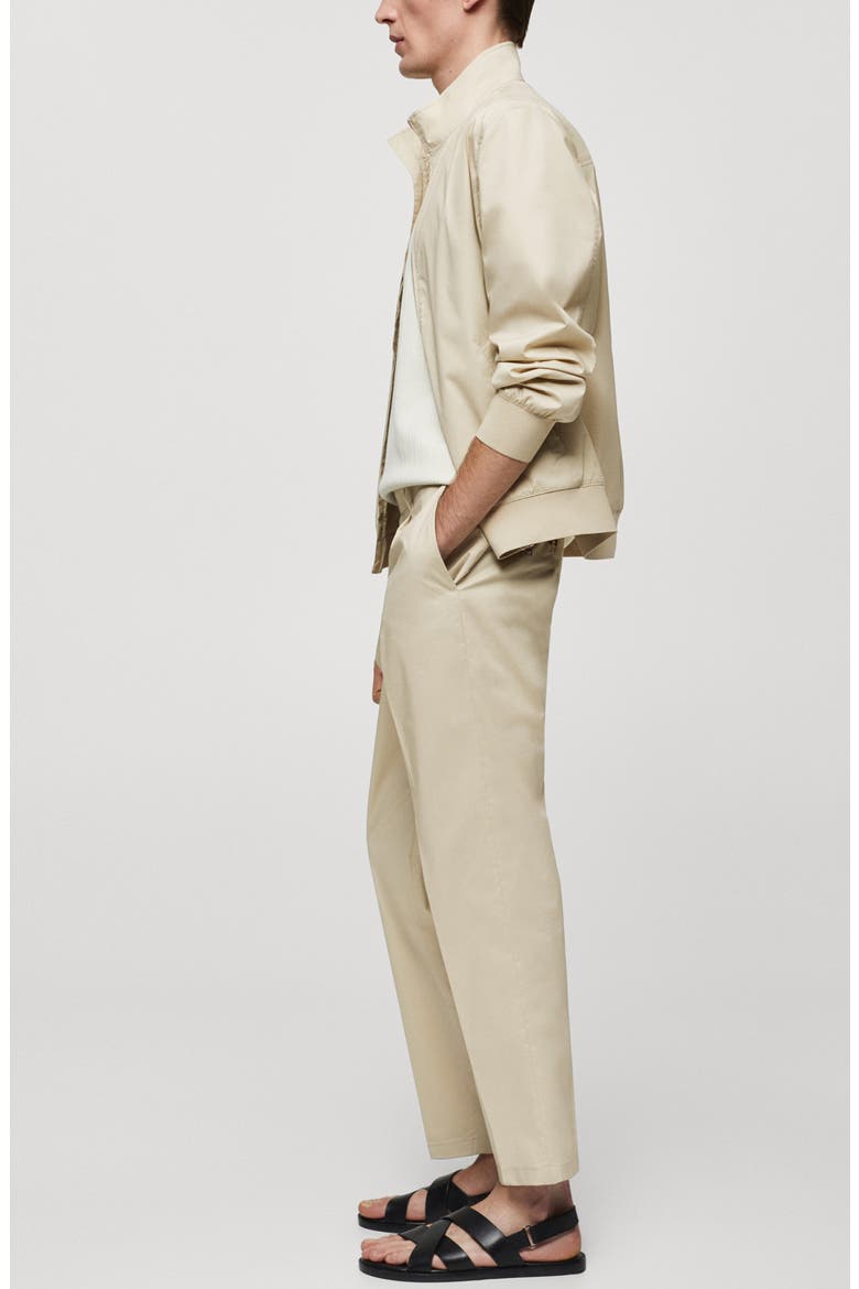 Pleated Slim Fit Dress Pants, Alternate, color, BEIGE