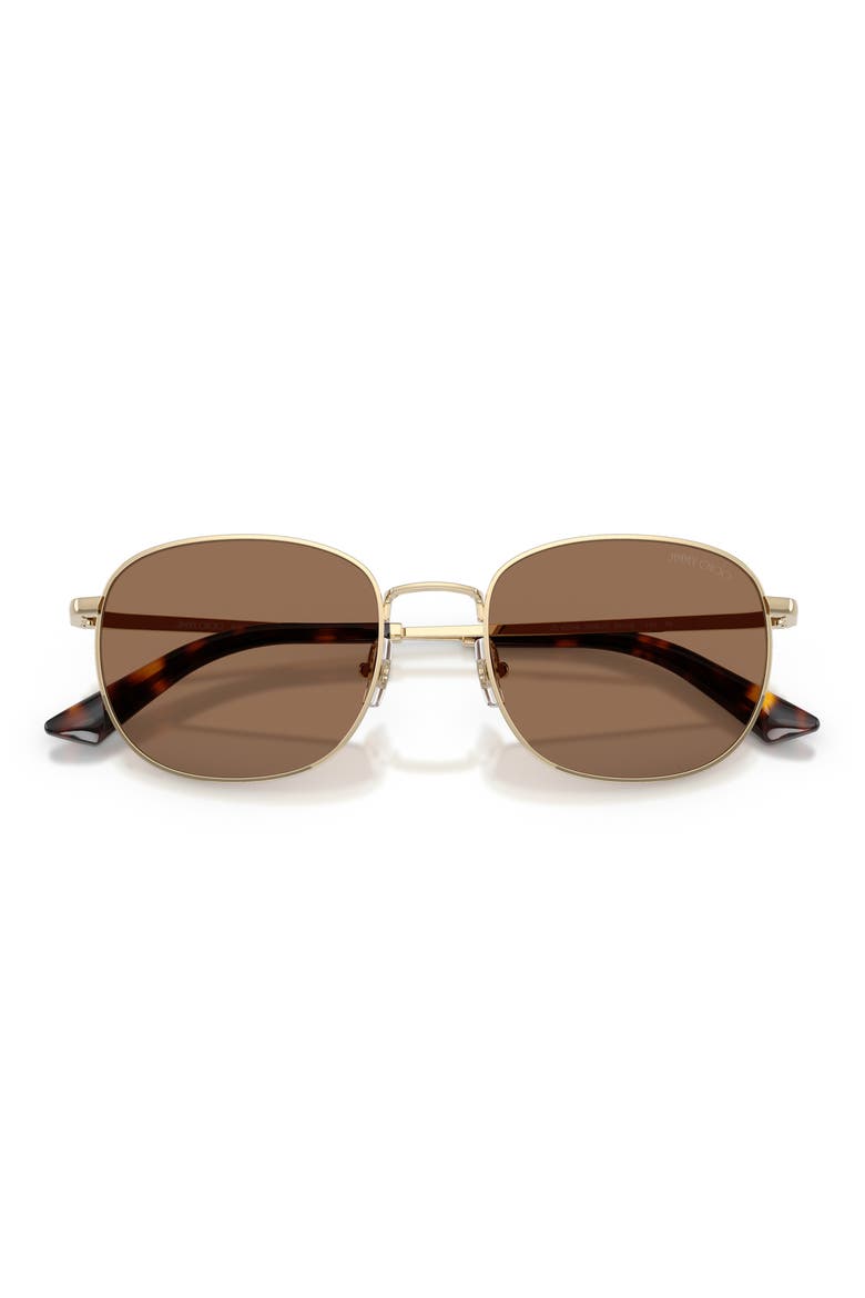 52mm Phantos Sunglasses, Alternate, color, PALE GOLD / DARK BROWN
