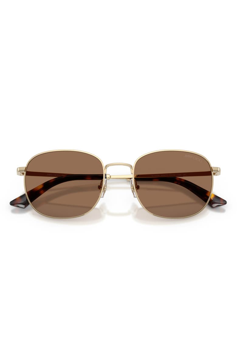 Jimmy Choo 52mm Phantos Sunglasses, Alternate, color, Pale Gold / Dark Brown
