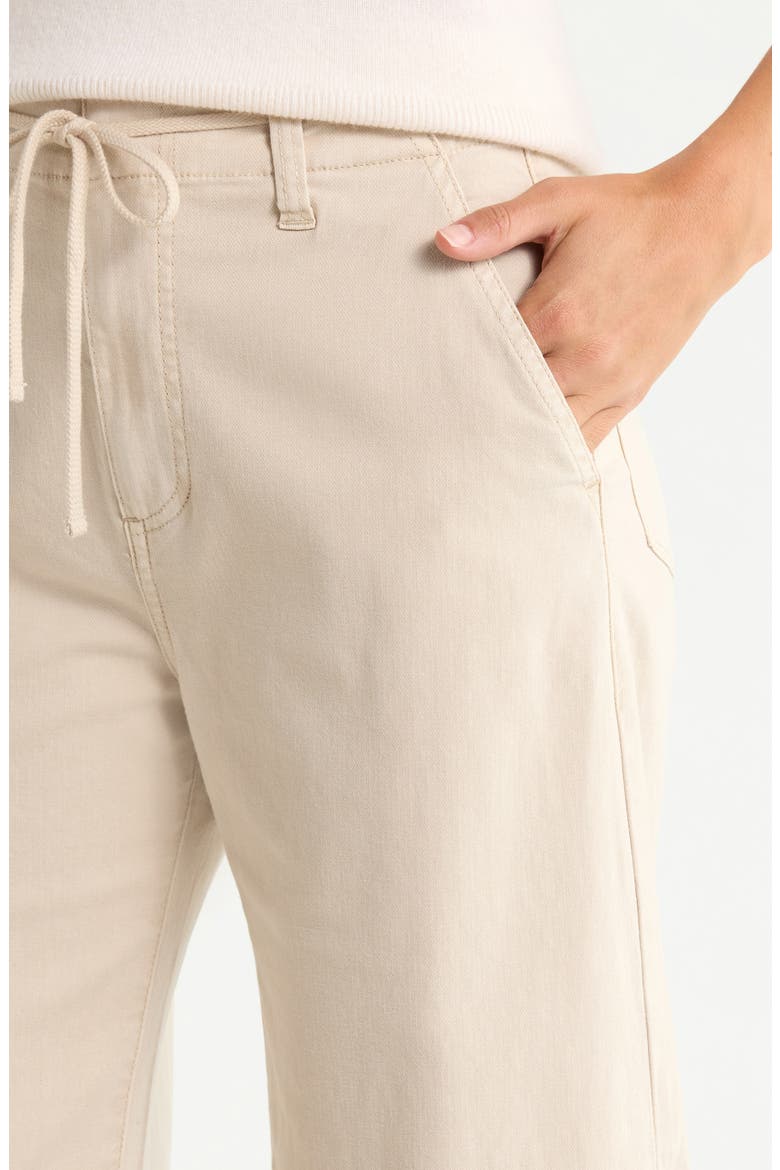 Arellia Drawstring High Waist Ankle Barrel Pants, Alternate, color, VINTAGE BISCOTTI