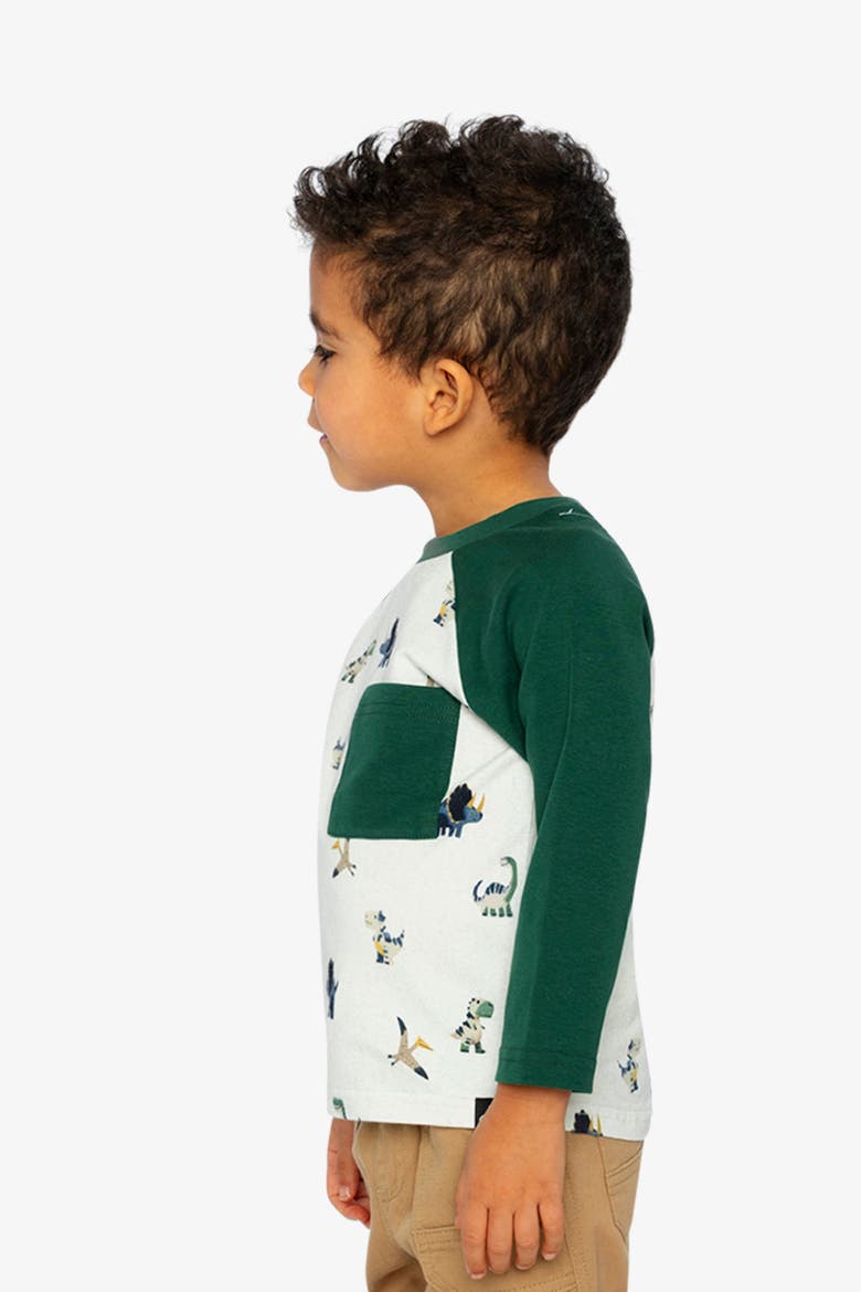 Raglan Dino Allover Crew Neck Long Sleeve T-Shirt, Alternate, color, Beige Dinosaur Print