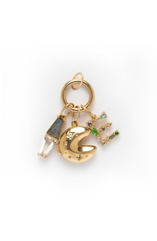 Local Eclectic Solid Gold Round Charm Clip In Gold