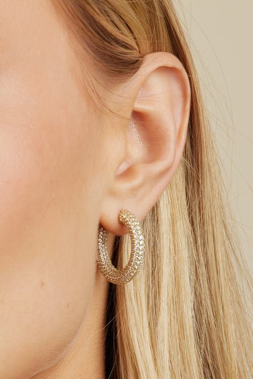 Untamed Petals Alex Crystal Hoops In Gold