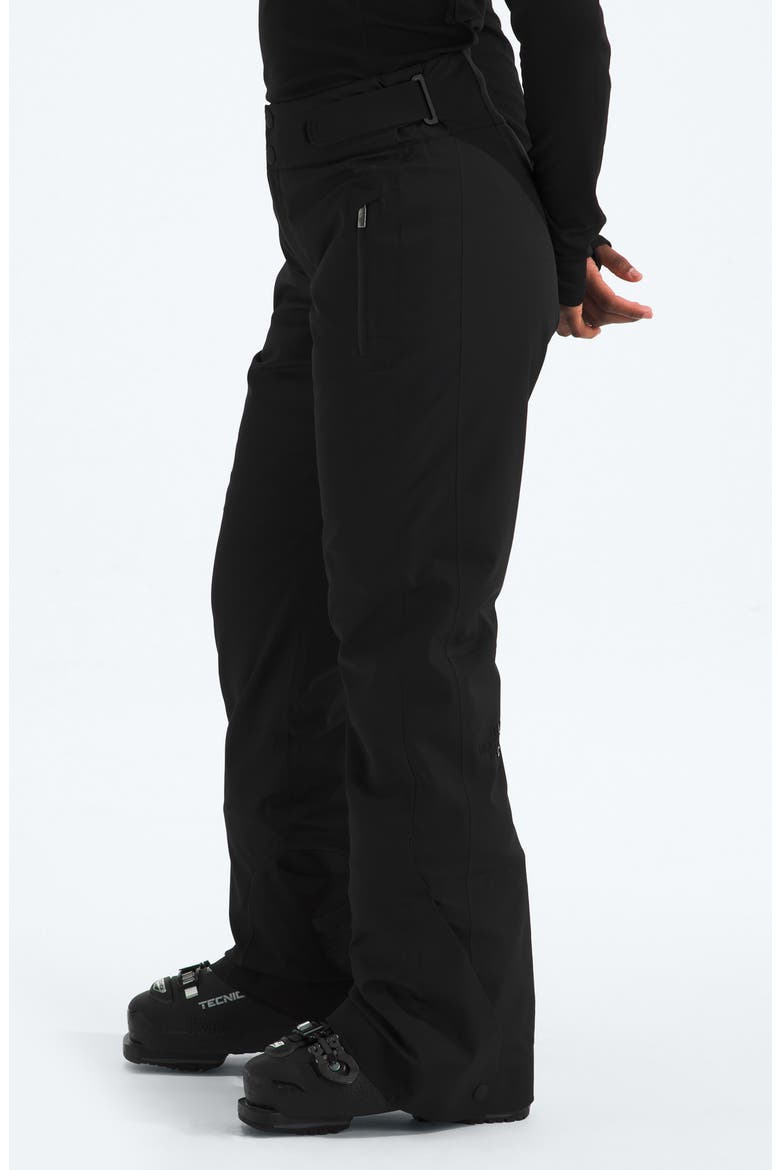 Lenado Waterproof Pants, Alternate, color, TNF BLACK