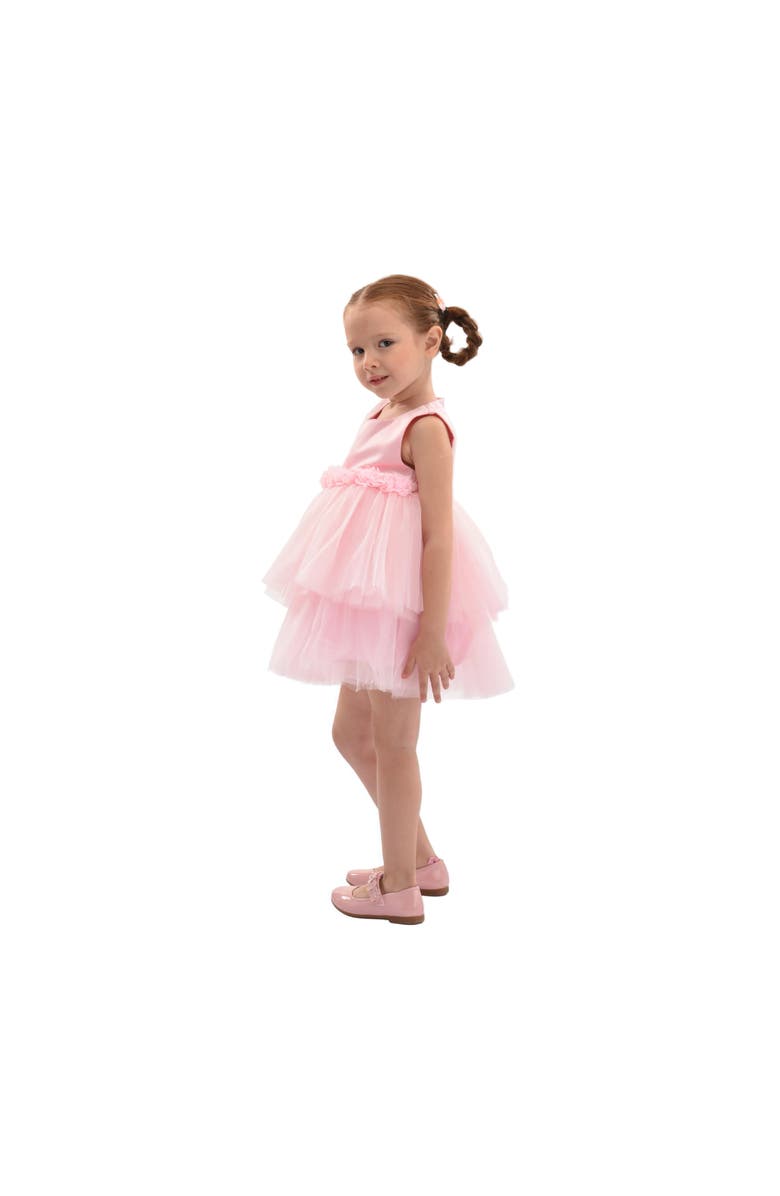 Mimi Tutu Amarielle Floral Waist Tulle Dress, Alternate, color, Pink