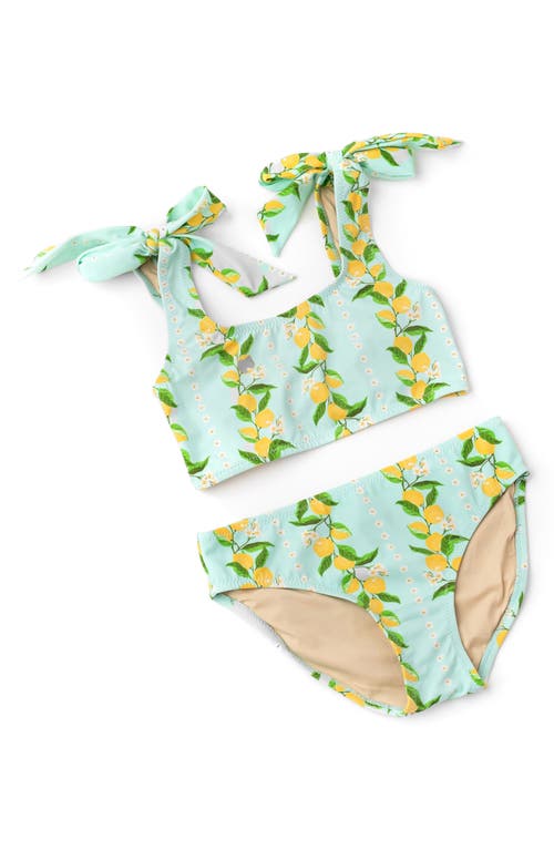 SHADE CRITTERS SHADE CRITTERS KIDS' CITRUS GROVE TWO-PIECE SWIMSUIT 