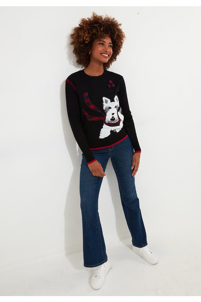 Puppy In Plaid Pullover Novelty Sweater, Alternate, color, PLAID PUPPY