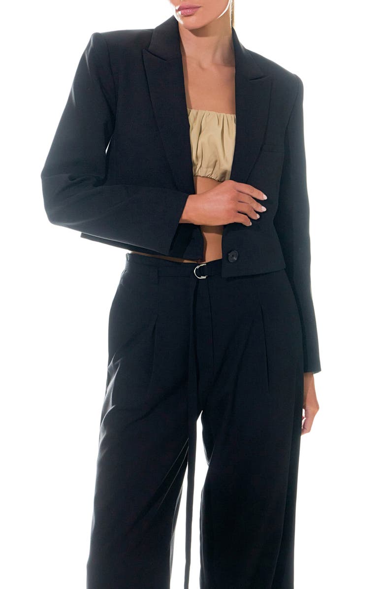 Grey Lab One-Button Crop Blazer, Alternate, color, 