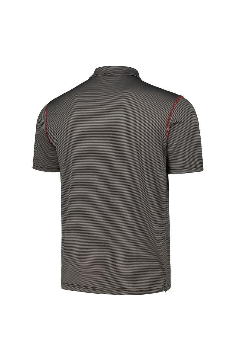 COLOSSEUM Men's Colosseum  Gray Arkansas Razorbacks Cameron Polo, Alternate, color, 