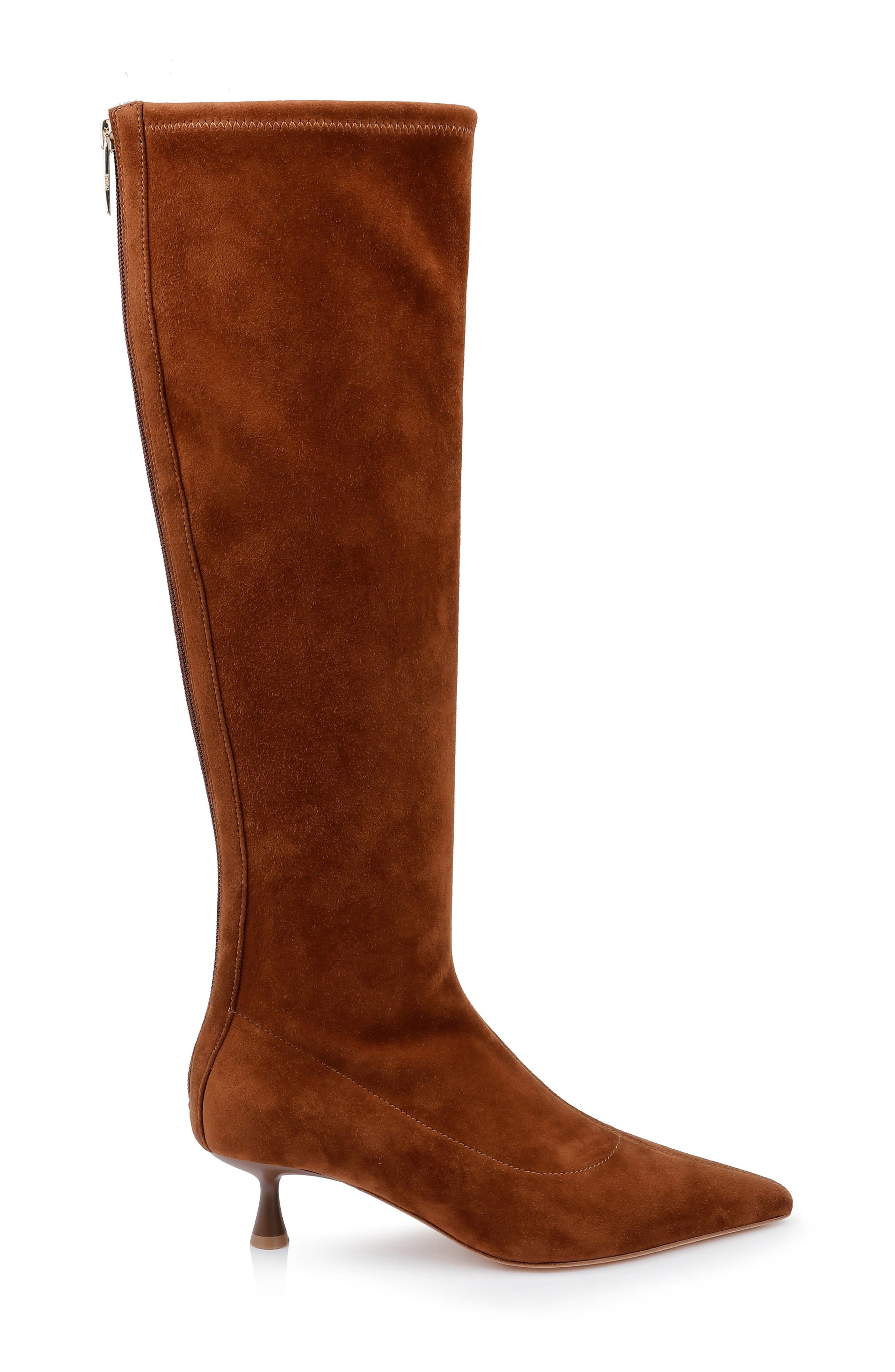 Emilie Pointed Toe Kitten Heel Knee High Boot, Alternate, color, BUCKSKIN SUEDE