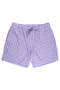  Wisteria Purple Gingham