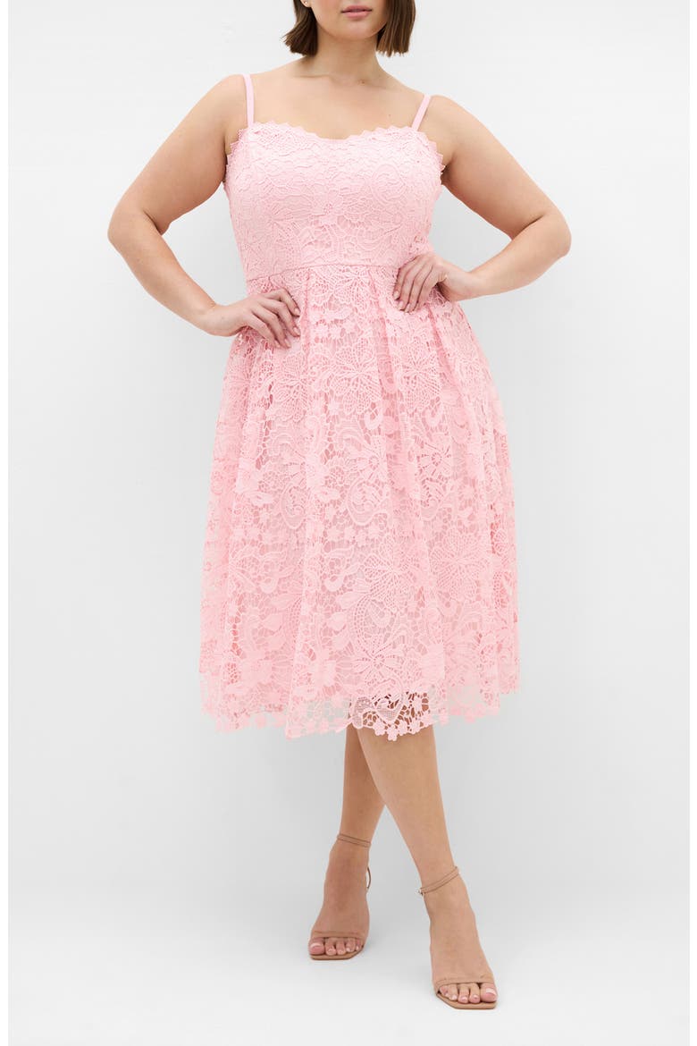 Scarlet Lace Midi Dress, Main, color, HEAVENLY PINK