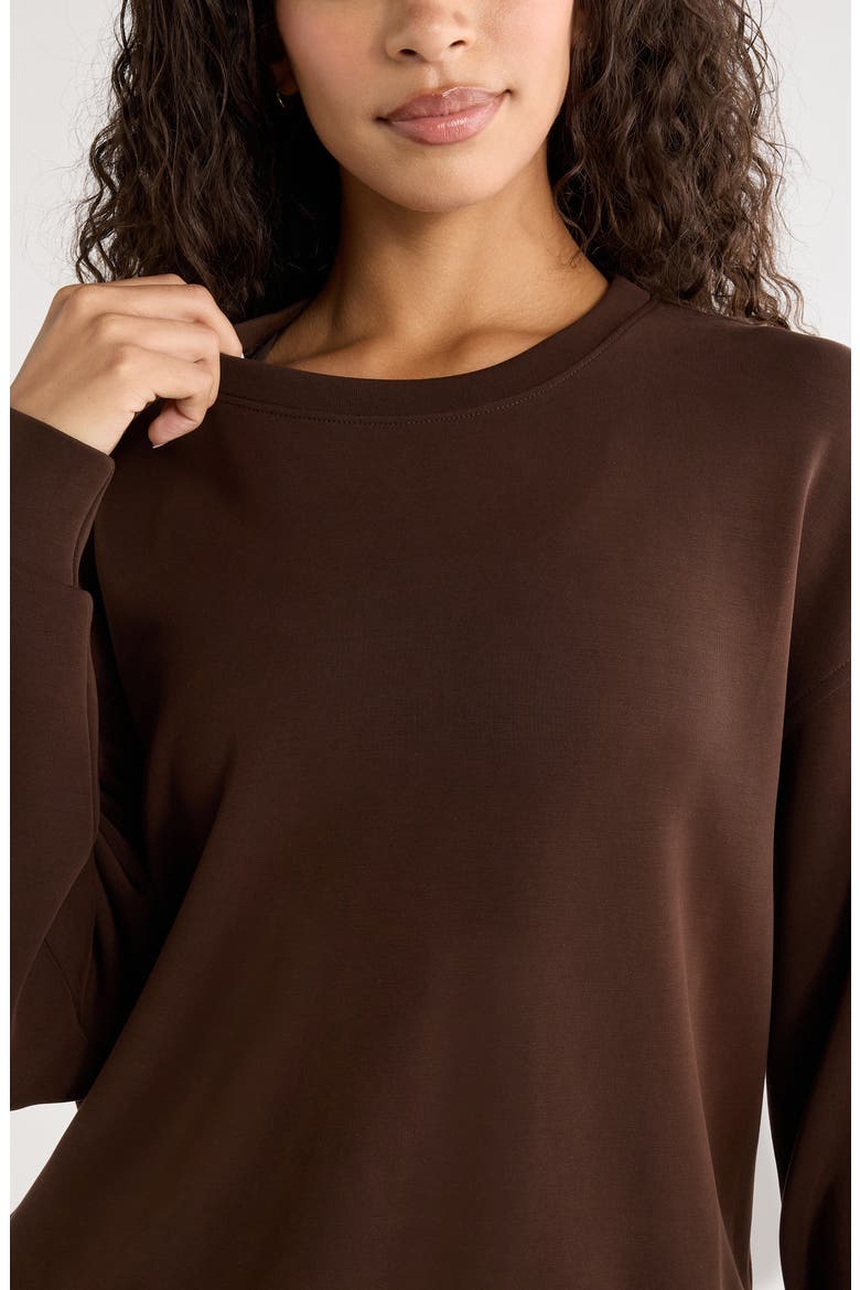 Soft Luxe Boxy Crew Sweatshirt, Alternate, color, BROWN MOLE'