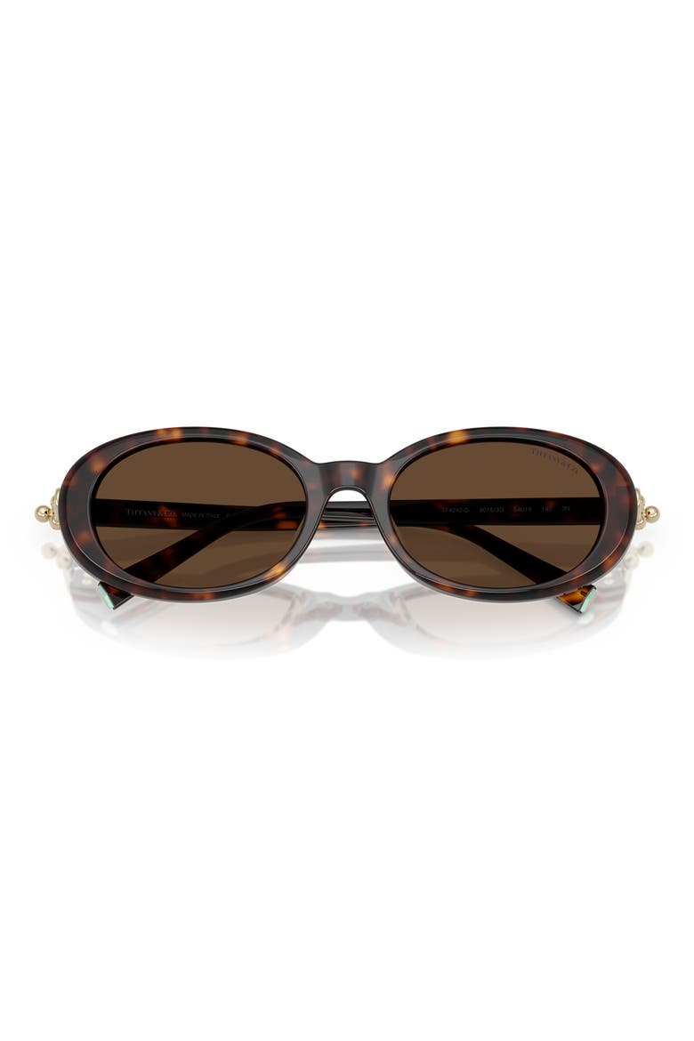 54mm Oval Sunglasses, Alternate, color, HAVANA / LIGHT BROWN