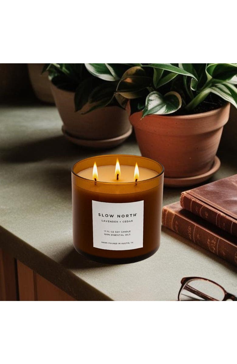 SLOW NORTH Lavender + Cedar - Signature 3-Wick Candle, Alternate, color, Brown