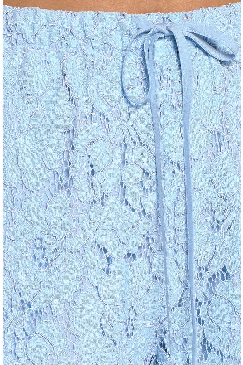 Sabina Lace Wide Leg Pants, Alternate, color, BABY BLUE