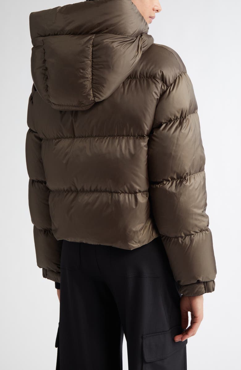 Max Mara Seie Hooded Down Puffer Jacket, Alternate, color, 